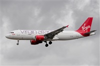 Miguel A. gueda Rguez.  (CANARY ISLANDS SPOTTING). Click to see full size photo