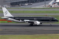 Rubn Gil - Noisy Spotters. Click to see full size photo