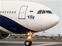 Javier de la Cruz - CANARY ISLANDS SPOTTING. Click to see full size photo