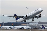 Rodrigo Carvalho - Noisy Spotters. Click to see full size photo