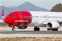 Miguel Alia - Noisy Spotters. Click to see full size photo