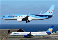 ©Alejandro H.L - Gran Canaria Spotters. Click to see full size photo ©Alejandro H.L - Gran Canaria Spotters. Click to see full size photo