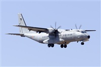 Paco Muoz Arencibia - Gran Canaria Spotters. Click to see full size photo