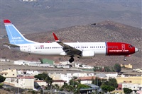 Paco Muoz Arencibia - Gran Canaria Spotters. Click to see full size photo