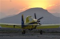 Marcos S.. Click to see full size photo