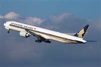 Miguel Alia - Noisy Spotters. Click to see full size photo
