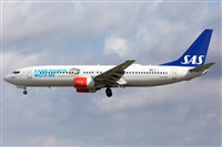 Miguel Alia - Noisy Spotters. Click to see full size photo