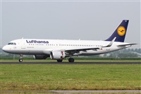 Rubn Gil - Noisy Spotters. Click to see full size photo