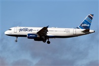 Javier de la Cruz - CANARY ISLANDS SPOTTING. Click to see full size photo