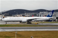 Miguel A. gueda Rguez.  (CANARY ISLANDS SPOTTING). Haz click para ampliar
