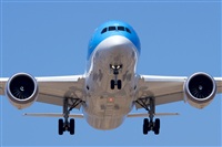 Saimon J Rodriguez   -   Canary Islands Spotting. Haz click para ampliar