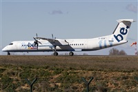 Rubn Gil - Noisy Spotters. Click to see full size photo