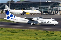 Saimon J Rodriguez   -   Canary Islands Spotting. Click to see full size photo