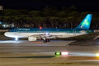Javier de la Cruz - CANARY ISLANDS SPOTTING. Click to see full size photo