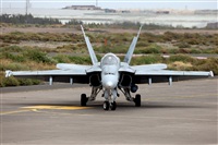 Florencio Martn Melin - Lanzarote Spotters. Click to see full size photo