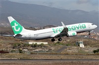 ©Alfonso Solís - Asociación Canary Islands Spotting. Click to see full size photo ©Alfonso Solís - Asociación Canary Islands Spotting. Click to see full size photo