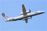 Miguel A. gueda Rguez.  (CANARY ISLANDS SPOTTING). Click to see full size photo