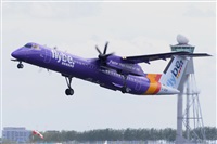 Miguel A. gueda Rguez.  (CANARY ISLANDS SPOTTING). Click to see full size photo