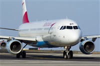 Saimon J Rodriguez   -   Canary Islands Spotting. Click to see full size photo