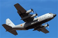 Florencio Martn Melin - Lanzarote Spotters. Click to see full size photo