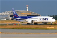 Miguel A. gueda Rguez.  (CANARY ISLANDS SPOTTING). Click to see full size photo