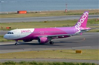 Miguel A. gueda Rguez.  (CANARY ISLANDS SPOTTING). Click to see full size photo