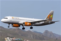 ©Daniel Santos Batista - Canary Islands Spotting. Click to see full size photo ©Daniel Santos Batista - Canary Islands Spotting. Click to see full size photo