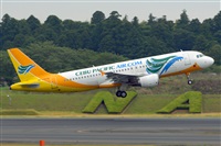 Miguel A. gueda Rguez.  (CANARY ISLANDS SPOTTING). Click to see full size photo