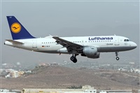 ©Adolfo Bento - Gran Canaria Spotters. Click to see full size photo ©Adolfo Bento - Gran Canaria Spotters. Click to see full size photo