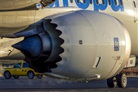 Daniel Santos Batista - Canary Islands Spotting. Click to see full size photo
