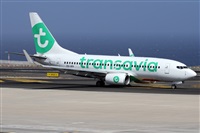 Alfonso Sols - Asociacin Canary Islands Spotting. Click to see full size photo