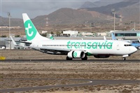 Alfonso Sols - Asociacin Canary Islands Spotting. Click to see full size photo