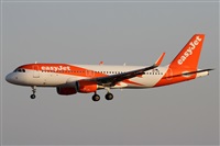 Alfonso Sols - Asociacin Canary Islands Spotting. Click to see full size photo
