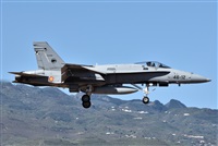 J. Victor Vega-Gran Canaria Spotters. Click to see full size photo
