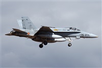 ©J. Victor Vega-Gran Canaria Spotters. Click to see full size photo ©J. Victor Vega-Gran Canaria Spotters. Click to see full size photo