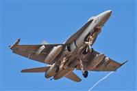 J. Victor Vega-Gran Canaria Spotters. Click to see full size photo