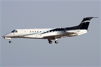 Alfonso Sols - Asociacin Canary Islands Spotting. Click to see full size photo