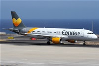 Alfonso Sols - Asociacin Canary Islands Spotting. Click to see full size photo