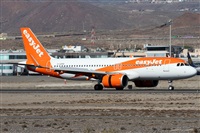 ©Alfonso Solís - Asociación Canary Islands Spotting. Click to see full size photo ©Alfonso Solís - Asociación Canary Islands Spotting. Click to see full size photo