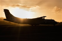 Javier de la Cruz - CANARY ISLANDS SPOTTING. Click to see full size photo