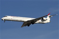 Alfonso Sols - Asociacin Canary Islands Spotting. Click to see full size photo