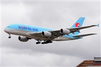 Miguel A. gueda Rguez.  (CANARY ISLANDS SPOTTING). Click to see full size photo