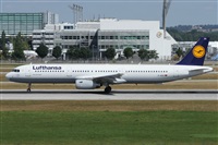 Alfonso Sols - Asociacin Canary Islands Spotting. Click to see full size photo