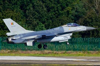 Tams. Click to see full size photo