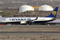 ©Alfonso Solís - Asociación Canary Islands Spotting. Click to see full size photo ©Alfonso Solís - Asociación Canary Islands Spotting. Click to see full size photo