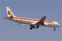©Alfonso Solís - Asociación Canary Islands Spotting. Click to see full size photo ©Alfonso Solís - Asociación Canary Islands Spotting. Click to see full size photo