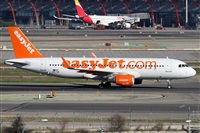 Alfonso Sols - Asociacin Canary Islands Spotting. Click to see full size photo