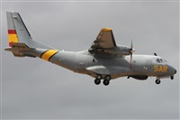 ©Alfonso Solís - Asociación Canary Islands Spotting. Click to see full size photo ©Alfonso Solís - Asociación Canary Islands Spotting. Click to see full size photo