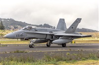Daniel Santos Batista - Canary Islands Spotting. Click to see full size photo