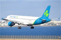 Miguel A. gueda Rguez.  (CANARY ISLANDS SPOTTING). Click to see full size photo